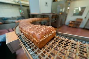 BREAD INDUSTRY